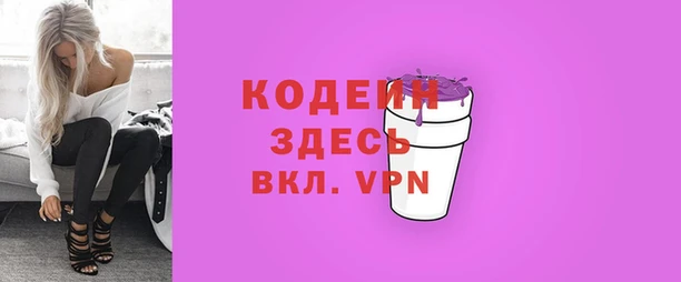 шишки Каменногорск