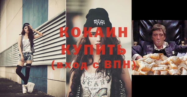 шишки Каменногорск