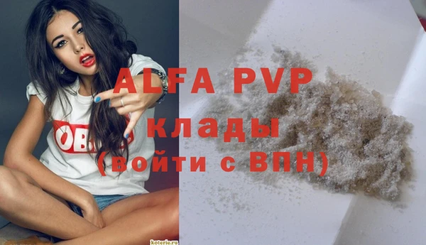 мдпв Касимов