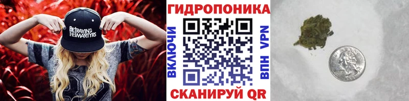 МЕГА ССЫЛКА Артём Бошки марихуана индика купить наркоту